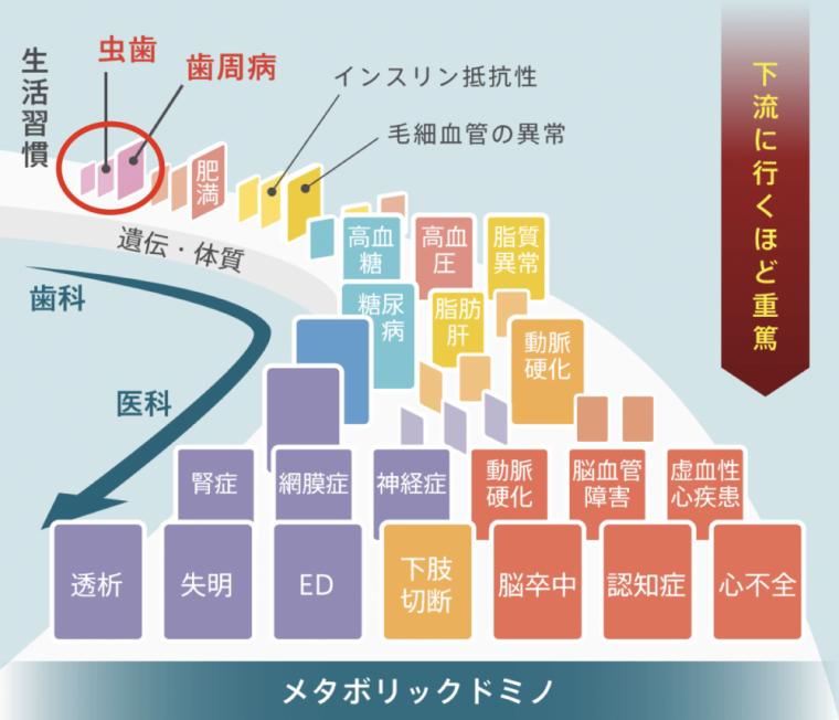 歯の寿命　　大阪市城東区の医療法人がもう四丁目